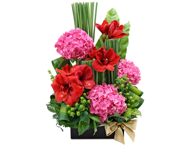 Florist Flower Arrangement - Red Amaryllis Florist Deco B5 - L76605300 Photo